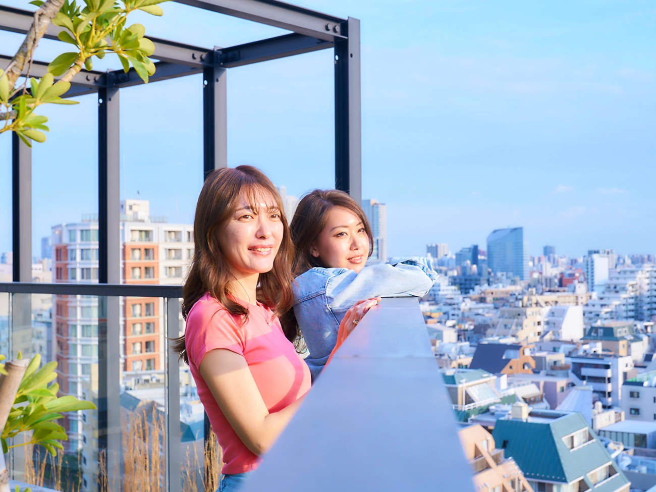 顶层（禁烟）/露台