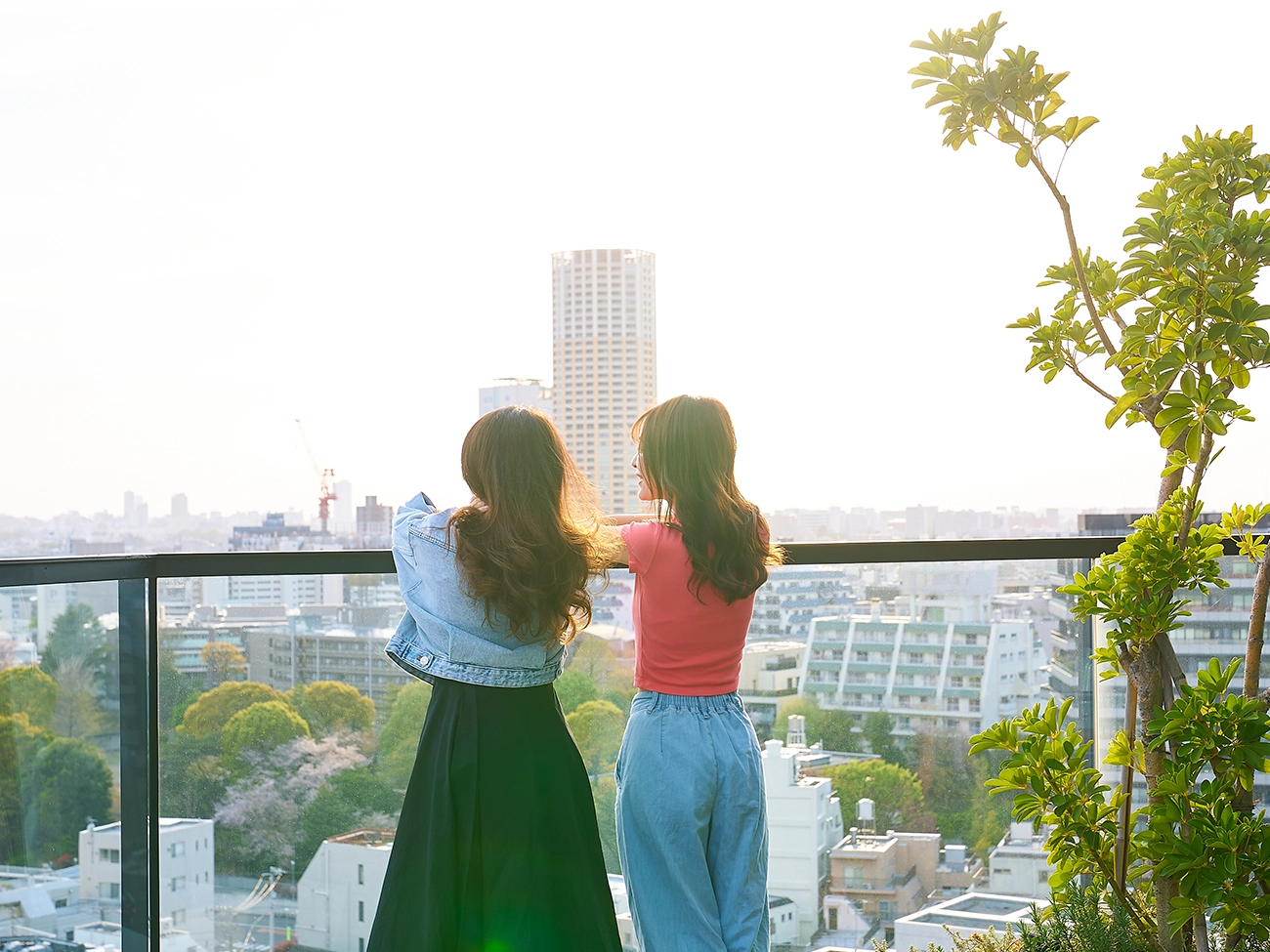 顶层（禁烟）/露台