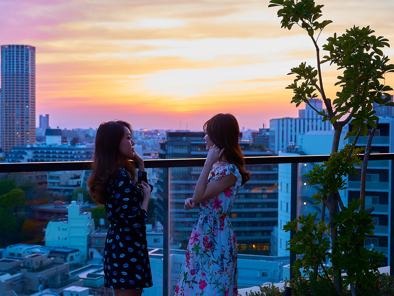 顶层（禁烟）/露台