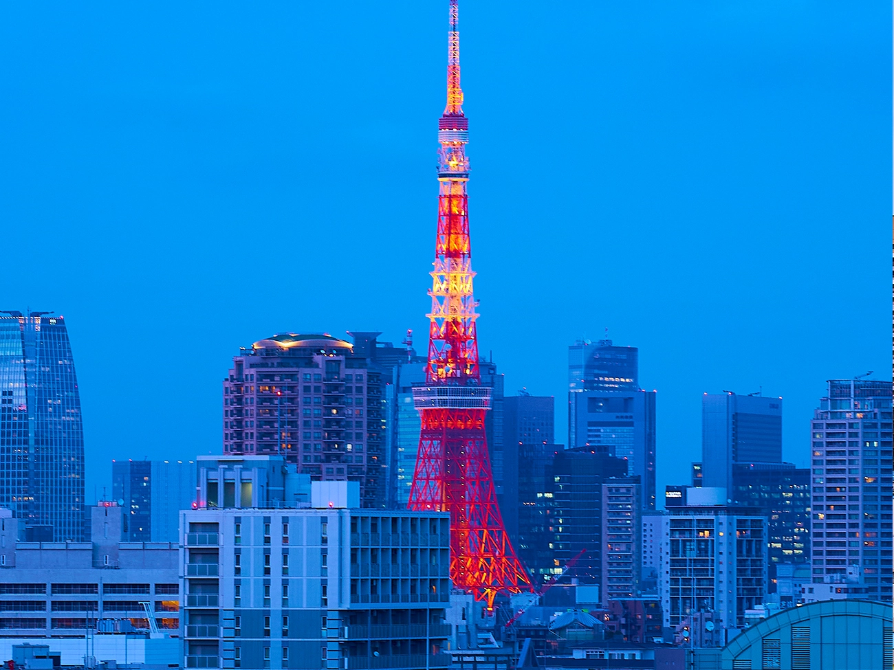东京塔景观/ TOKYO TOWER