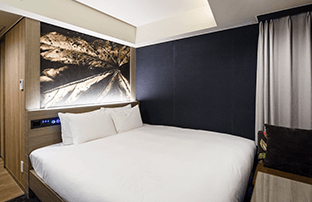 高级双人（无烟）